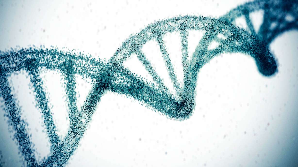 Descubren 42 genes previamente desconocidos para la enfermedad de Alzheimer